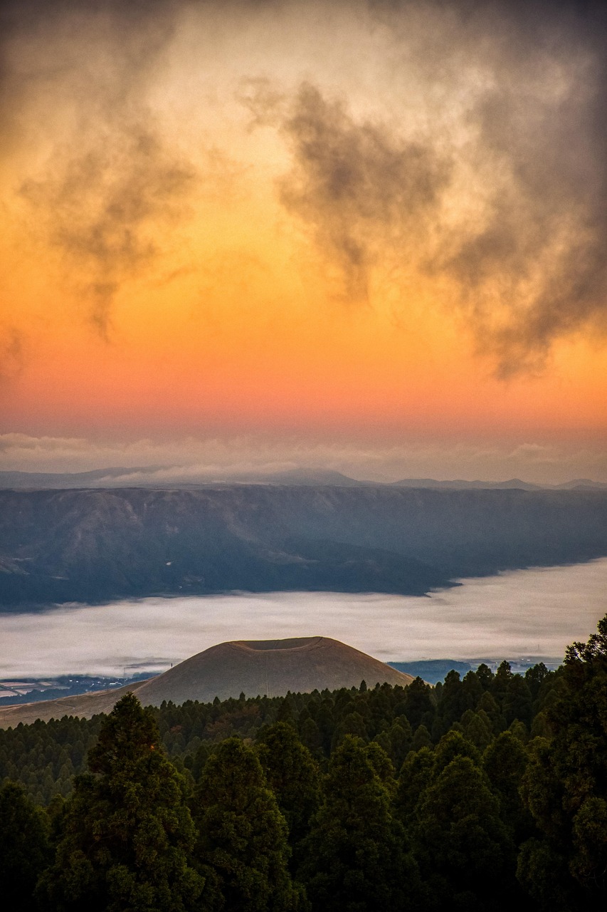 熊本の太平燕への行き方はどのようにすれば良いですか？