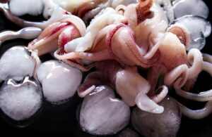 佐賀の呼子イカを使ったおすすめのお土産は？