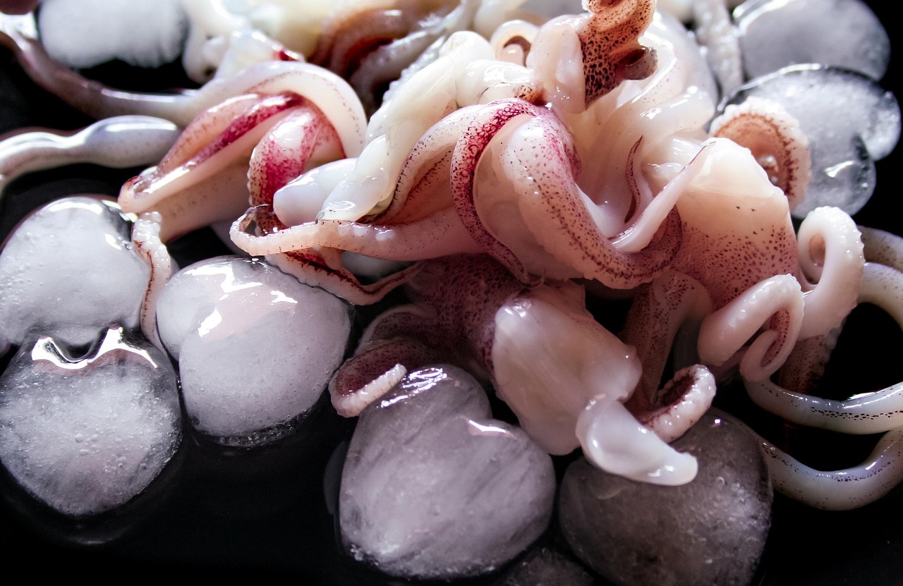 佐賀の呼子イカを使ったおすすめのお土産は？