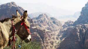 九州のご当地うどんを比較するとどれが一番美味しい？