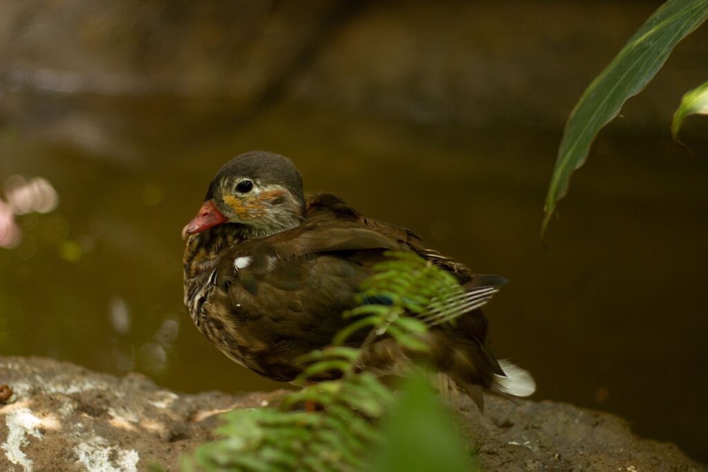 九州年末年始に楽しむグルメセットのおすすめは？