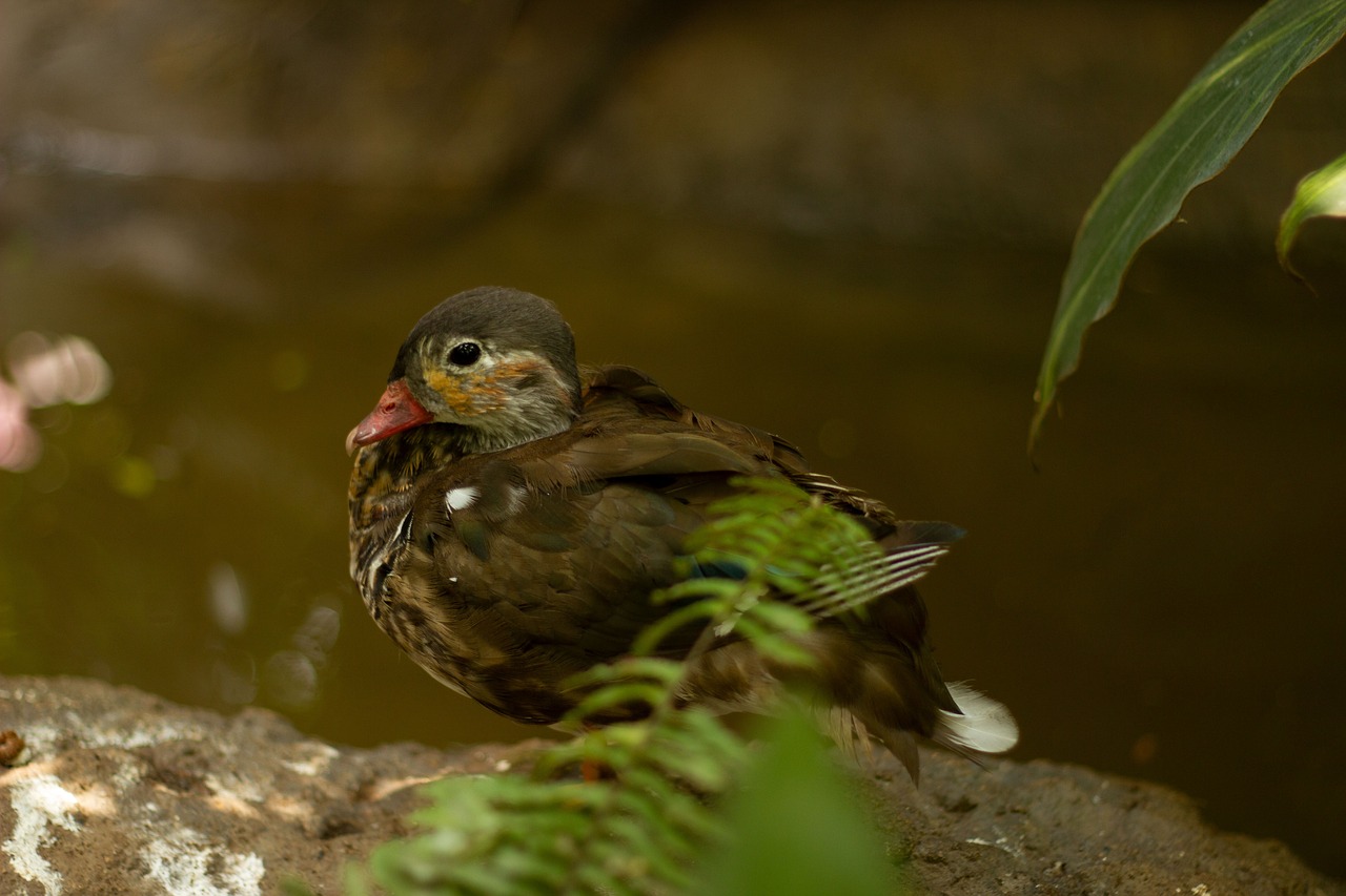 九州年末年始に楽しむグルメセットのおすすめは？