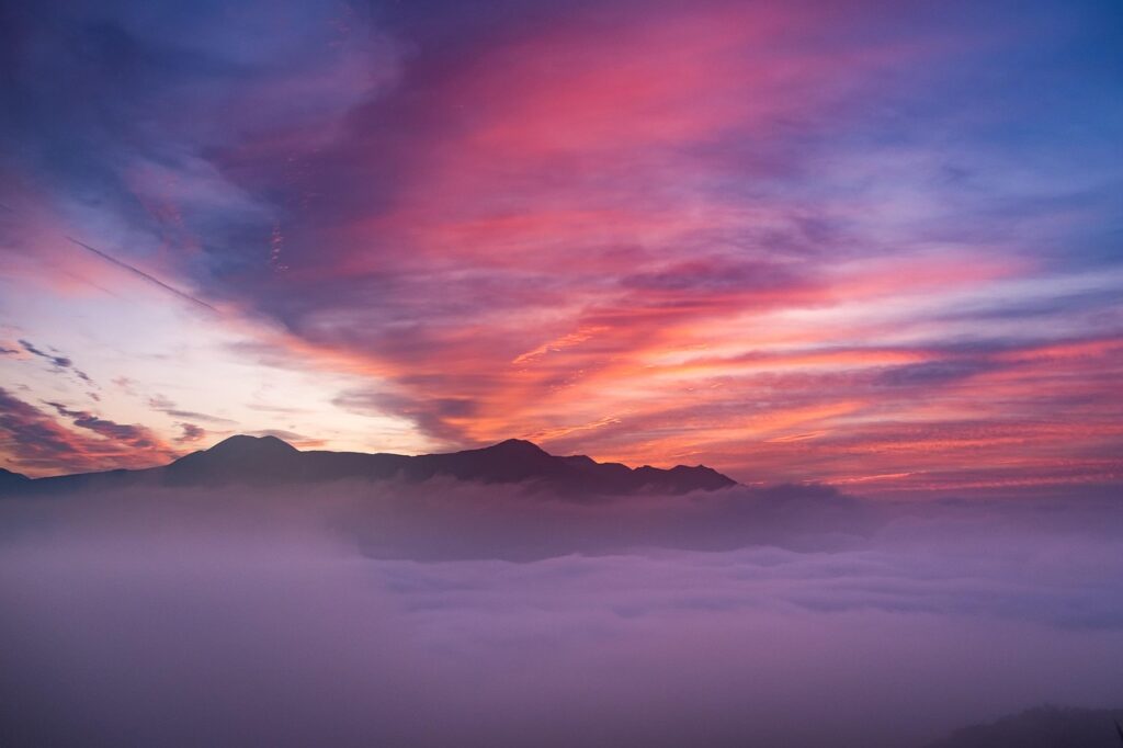 熊本の馬刺しで有名店を比較するポイントは？
