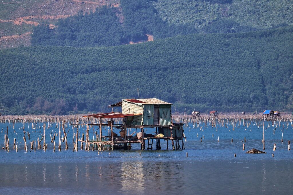 九州の牡蠣小屋で人気のスポットはどこ？