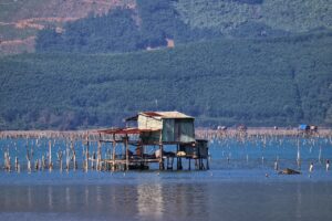 九州の牡蠣小屋で人気のスポットはどこ？