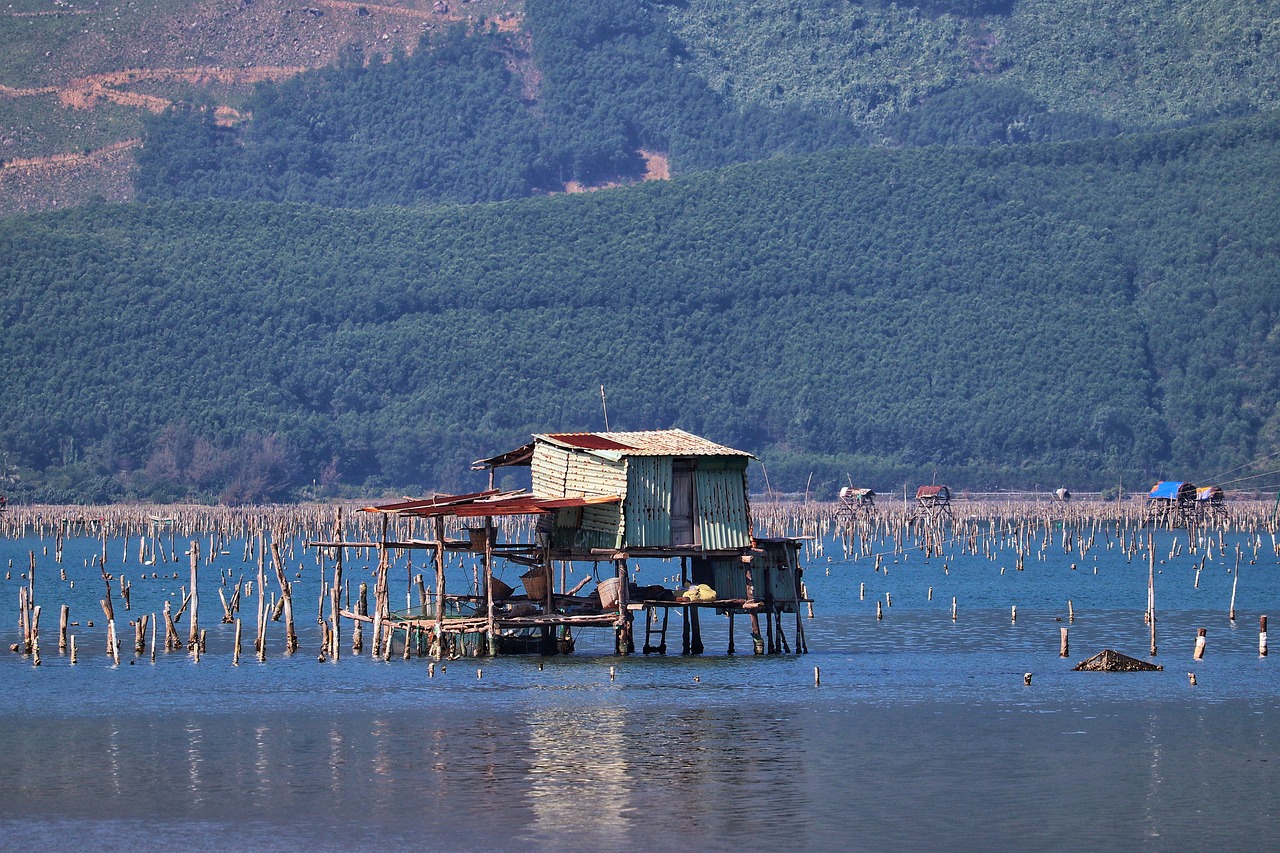 九州の牡蠣小屋で人気のスポットはどこ？