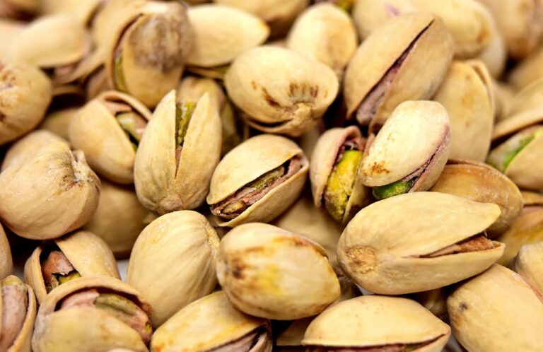 九州の食べ物を楽しむためのマップまとめは？