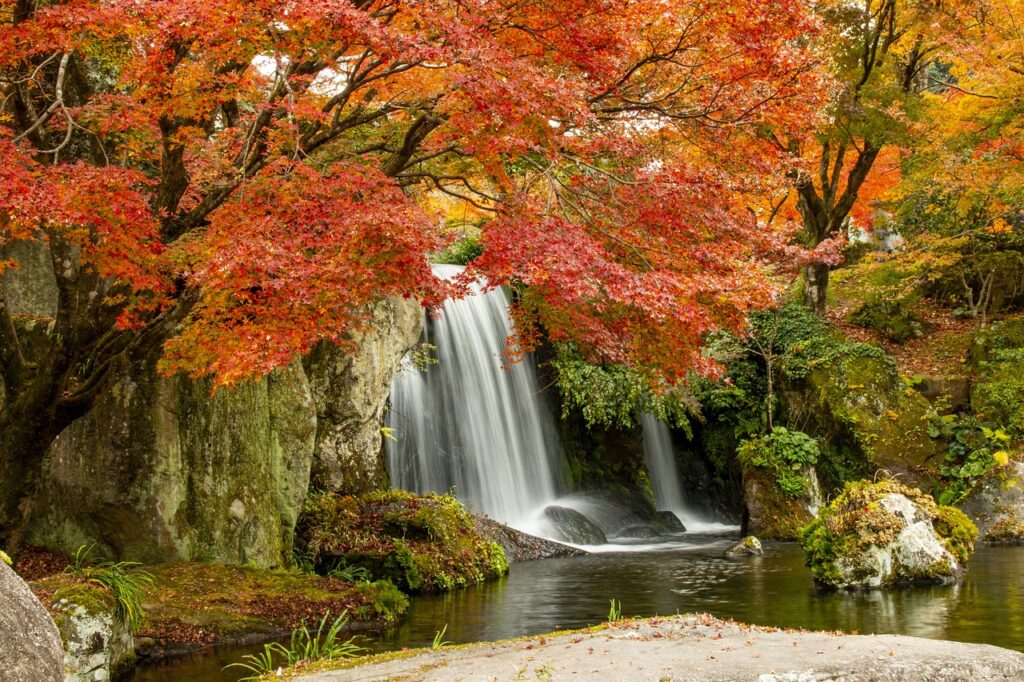 九州グルメを満喫するおすすめコースは？