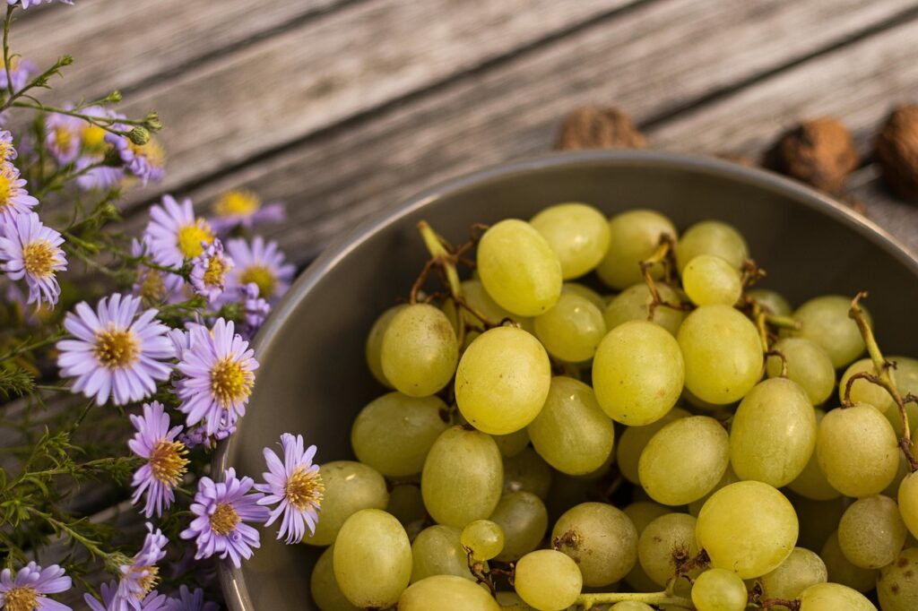 佐賀で楽しむ海鮮丼のおすすめは？