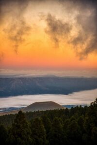 熊本で子連れにおすすめのランチスポットは？