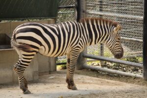 福岡で楽しむ居酒屋の個室おすすめは？