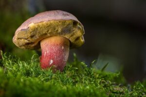 長崎での食べ歩きデート、おすすめスポットはどこ？