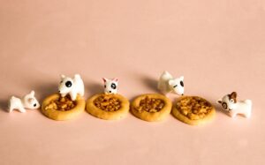 九州での食べ歩きはどこがおすすめ？